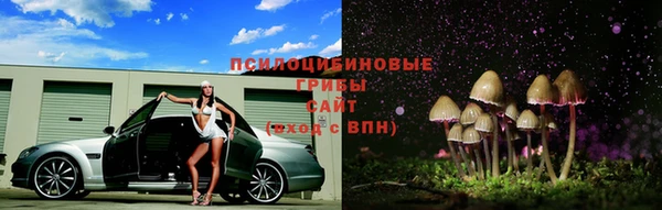 хмурый Нязепетровск