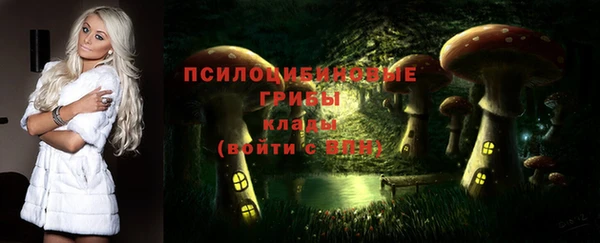 хмурый Нязепетровск