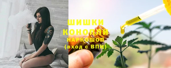 бошки Няндома