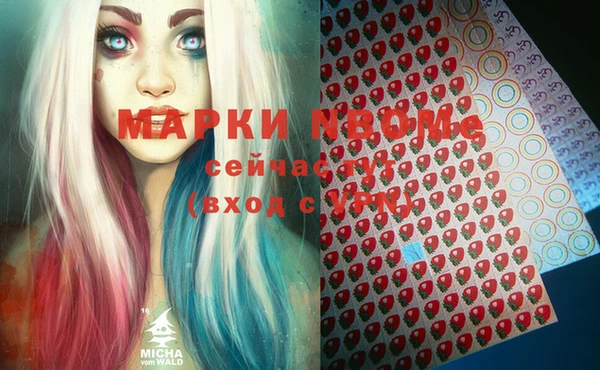 бошки Няндома