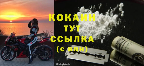 бошки Няндома
